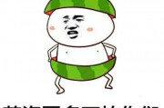 微信吃瓜表情头像图片,趣味横生的网络表情文化解析